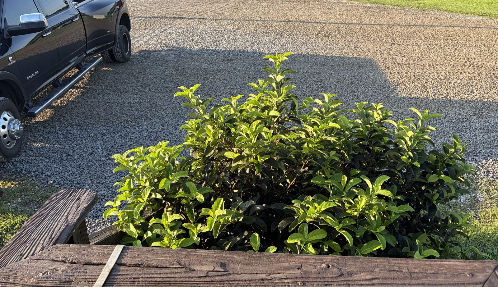 The same business parking lot after regrading, covered in fresh gravel with a pickup parked at the edge