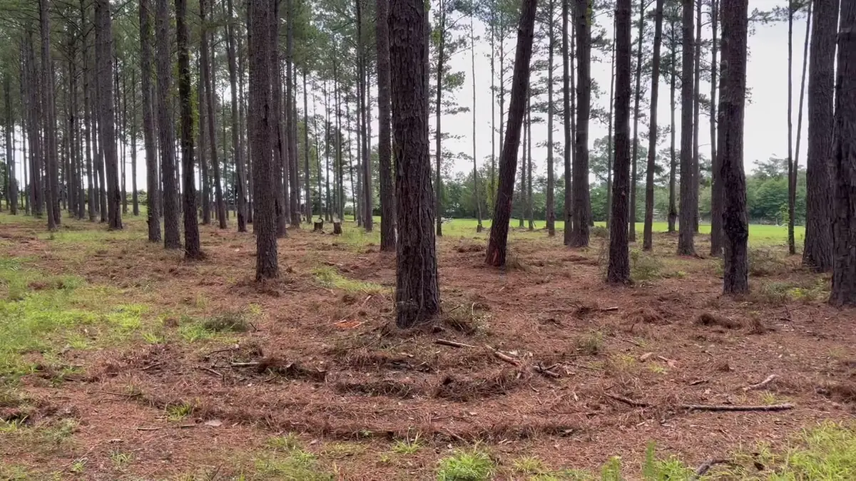 Land clearing and site work in Semmes, AL