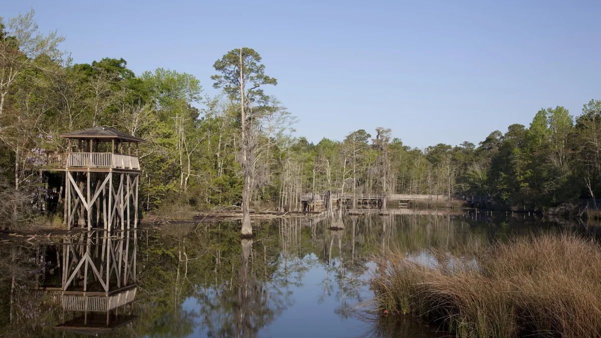 Land clearing and site work in Theodore, AL